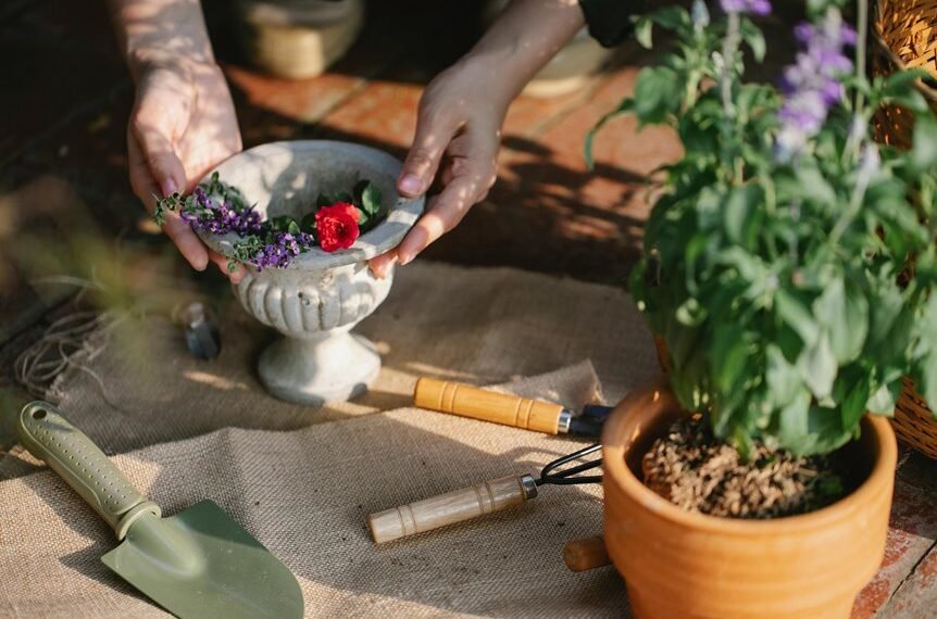 maximize digital growth tools