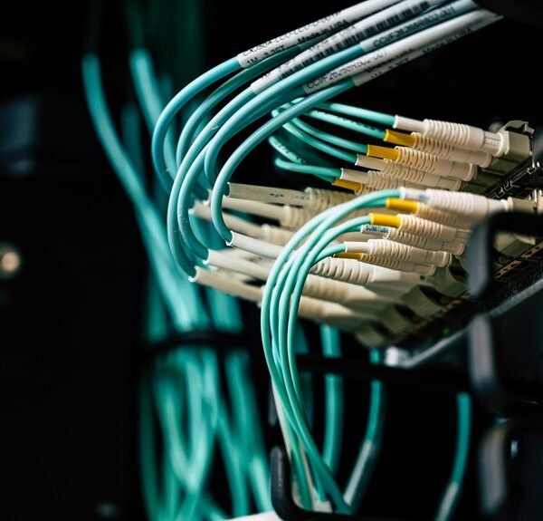 creative digital network cloud suite